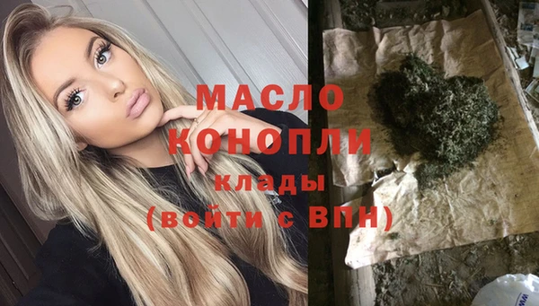 хмурый Ельня