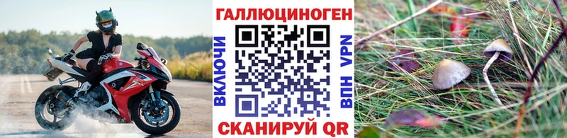 hydra ТОР  хочу   Шелехов  Псилоцибиновые грибы прущие грибы 
